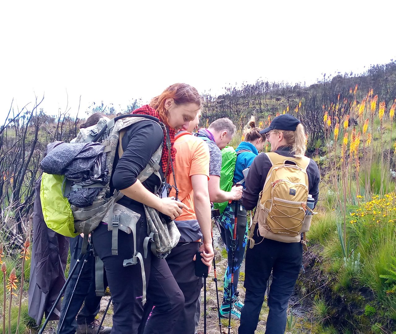 Marangu Route 5 Days