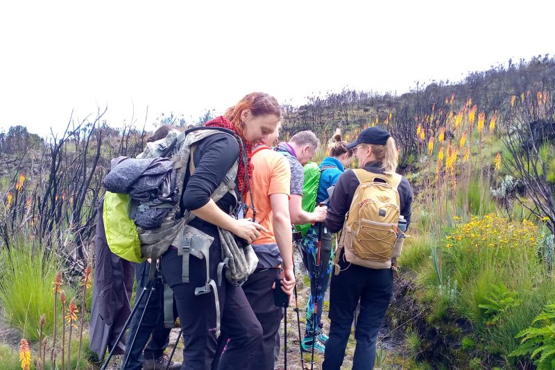 Marangu Route 5 Days