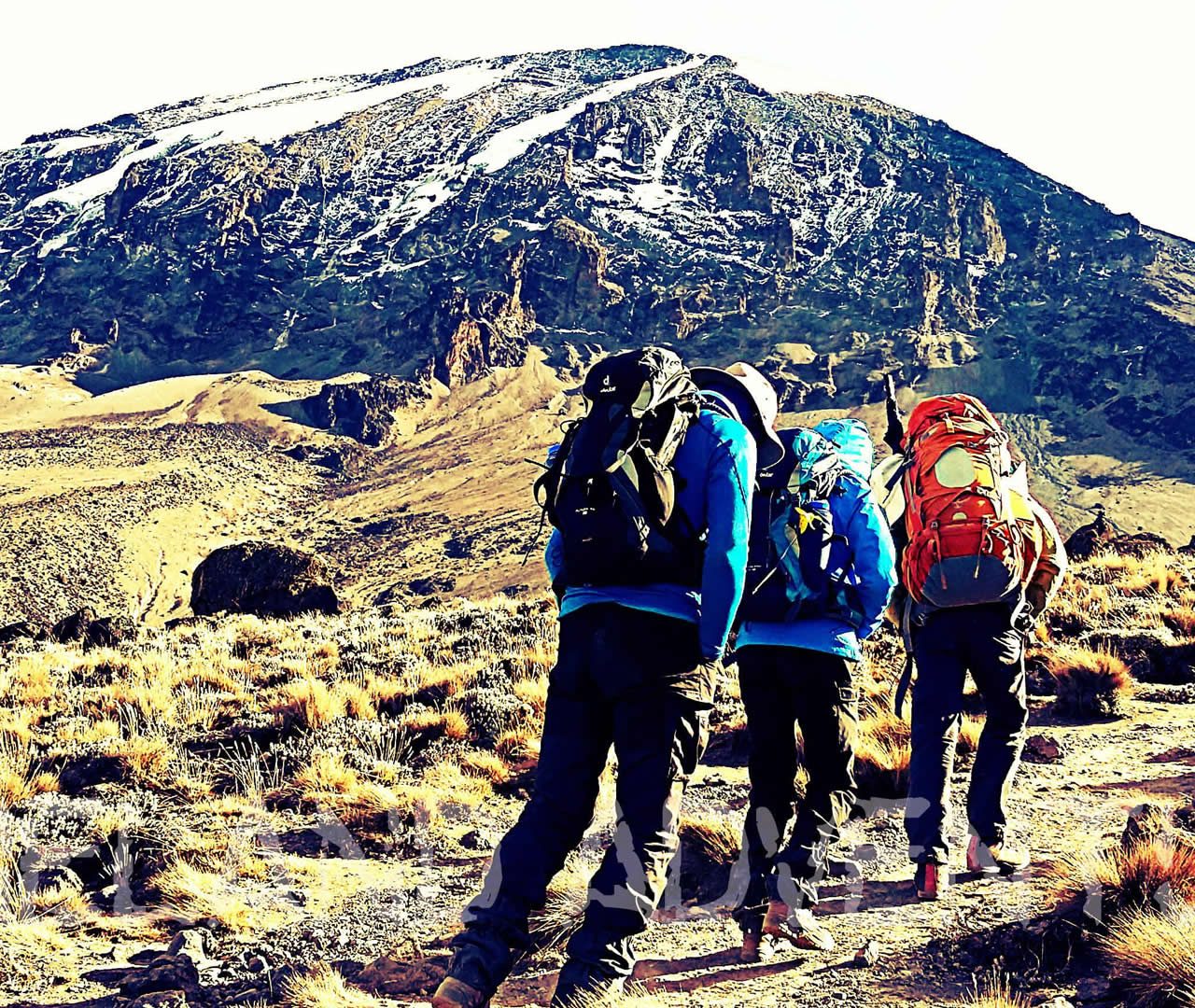 Lemosho Route 9 Days