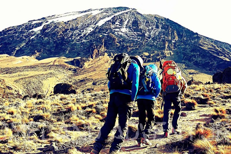 Lemosho Route 9 Days